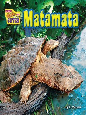 cover image of Matamata